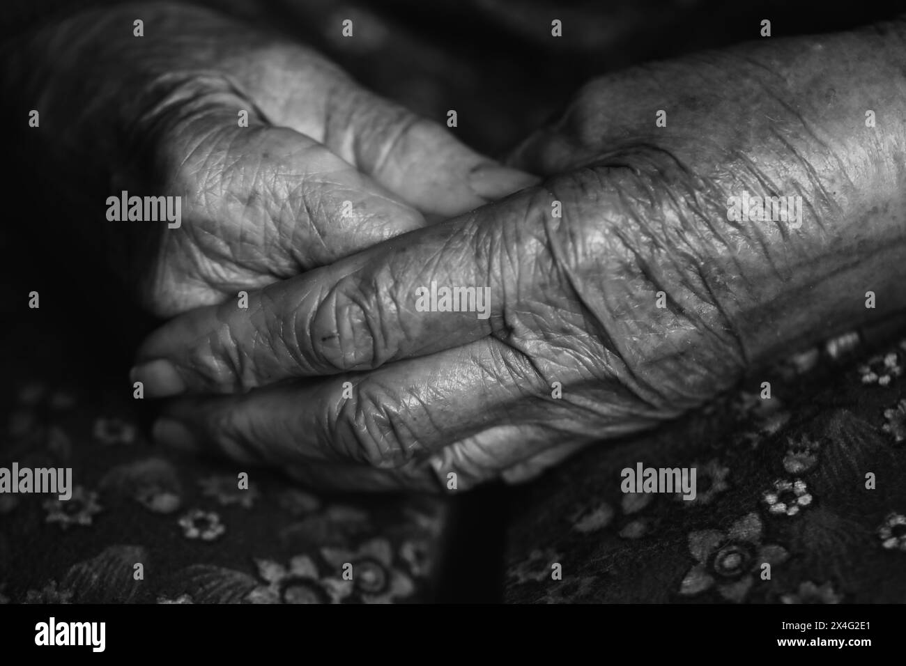 Le mani della donna anziana. Una vecchia donna mani in bianco e nero Foto Stock
