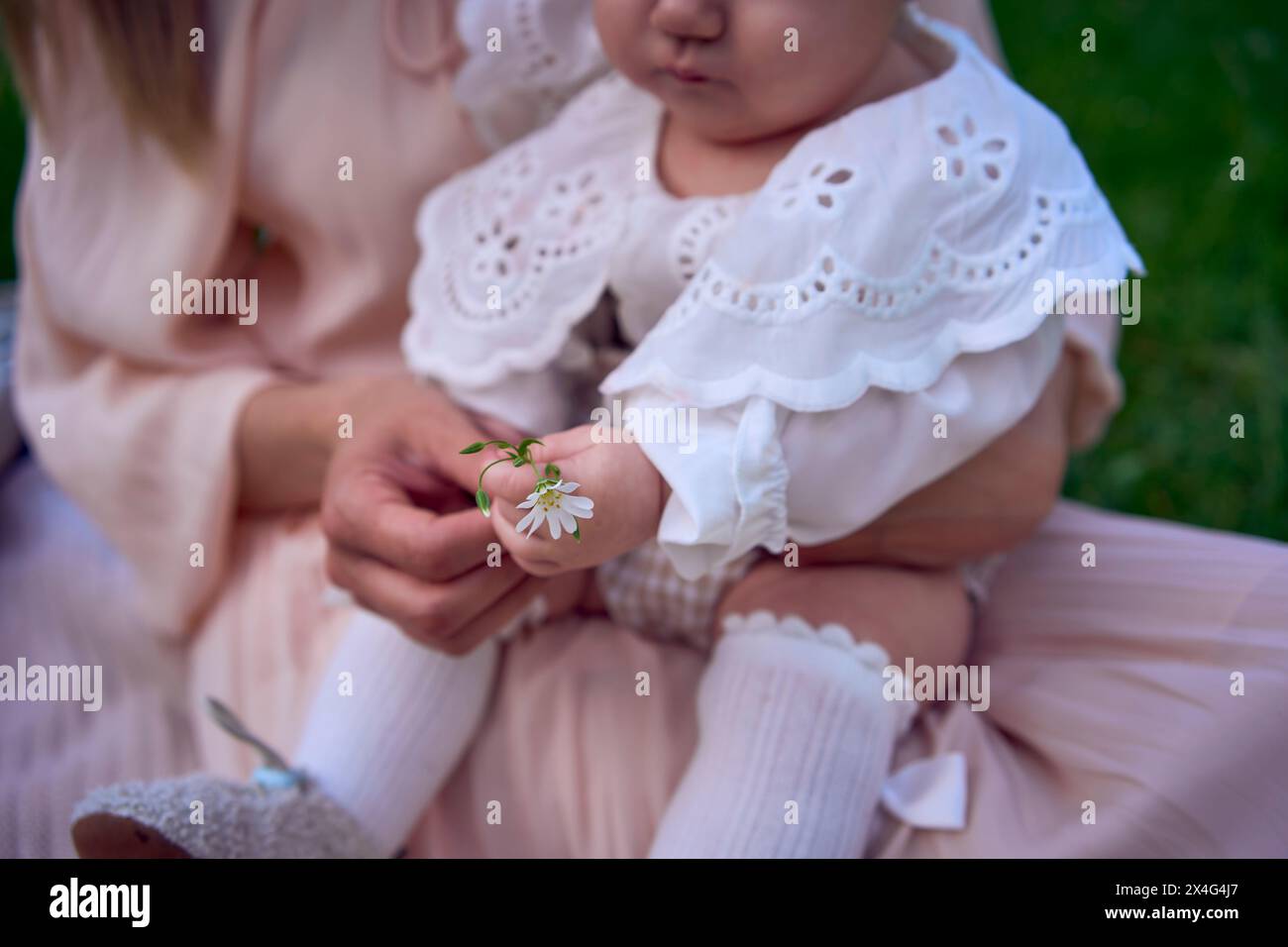 una bambina tiene un fiore tra le mani tra le braccia di sua madre Foto Stock