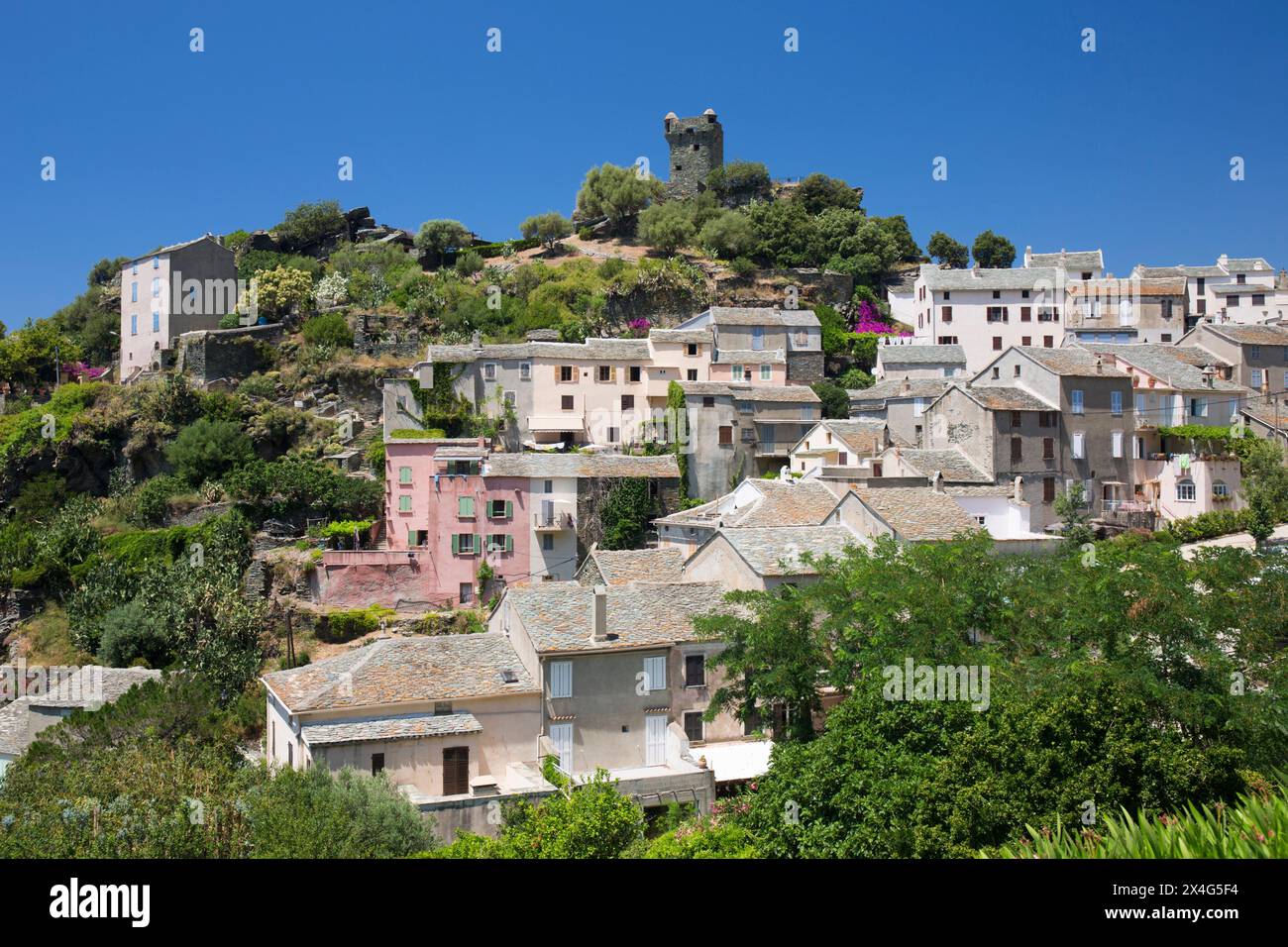 Nonza, Haute-Corse, Corsica, Francia. Ammira i tetti del villaggio dalla collina, le case che si aggrappano al ripido pendio sotto la torre di guardia sulla cima della scogliera. Foto Stock