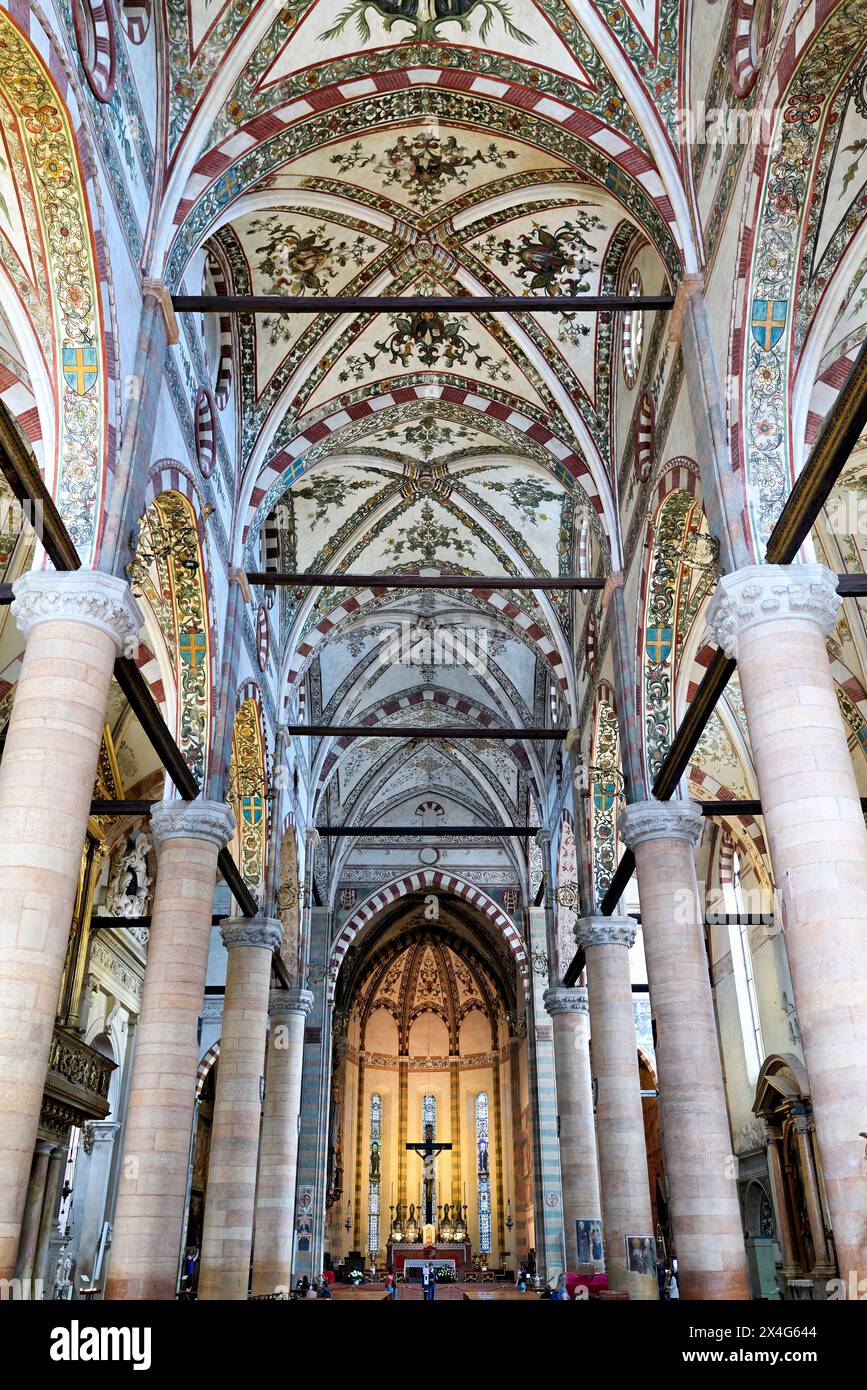 Verona Veneto Italia. La Basilica di Santa Anastasia Foto Stock