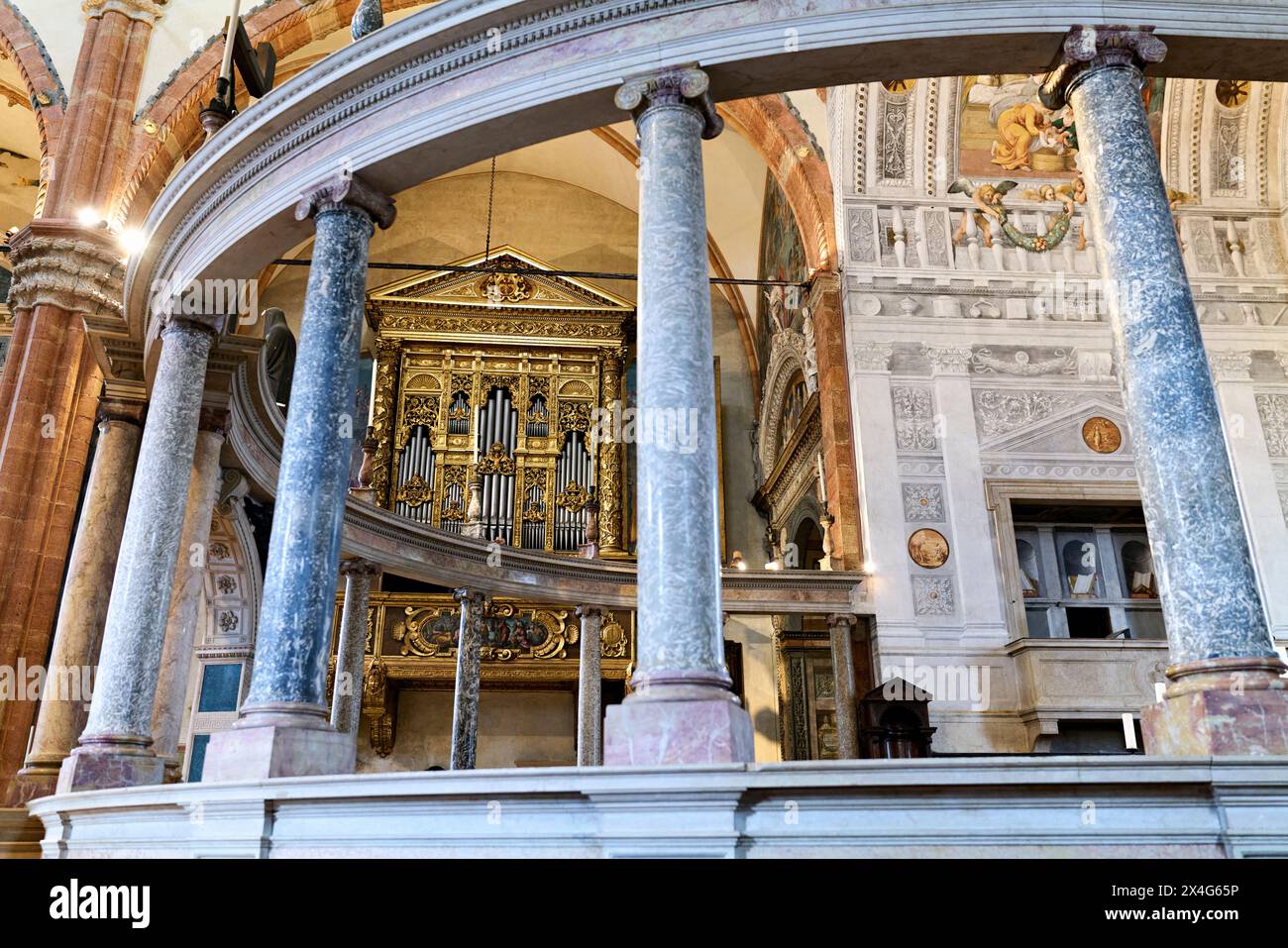 Verona Veneto Italia. Duomo di Verona. L'organo Foto Stock