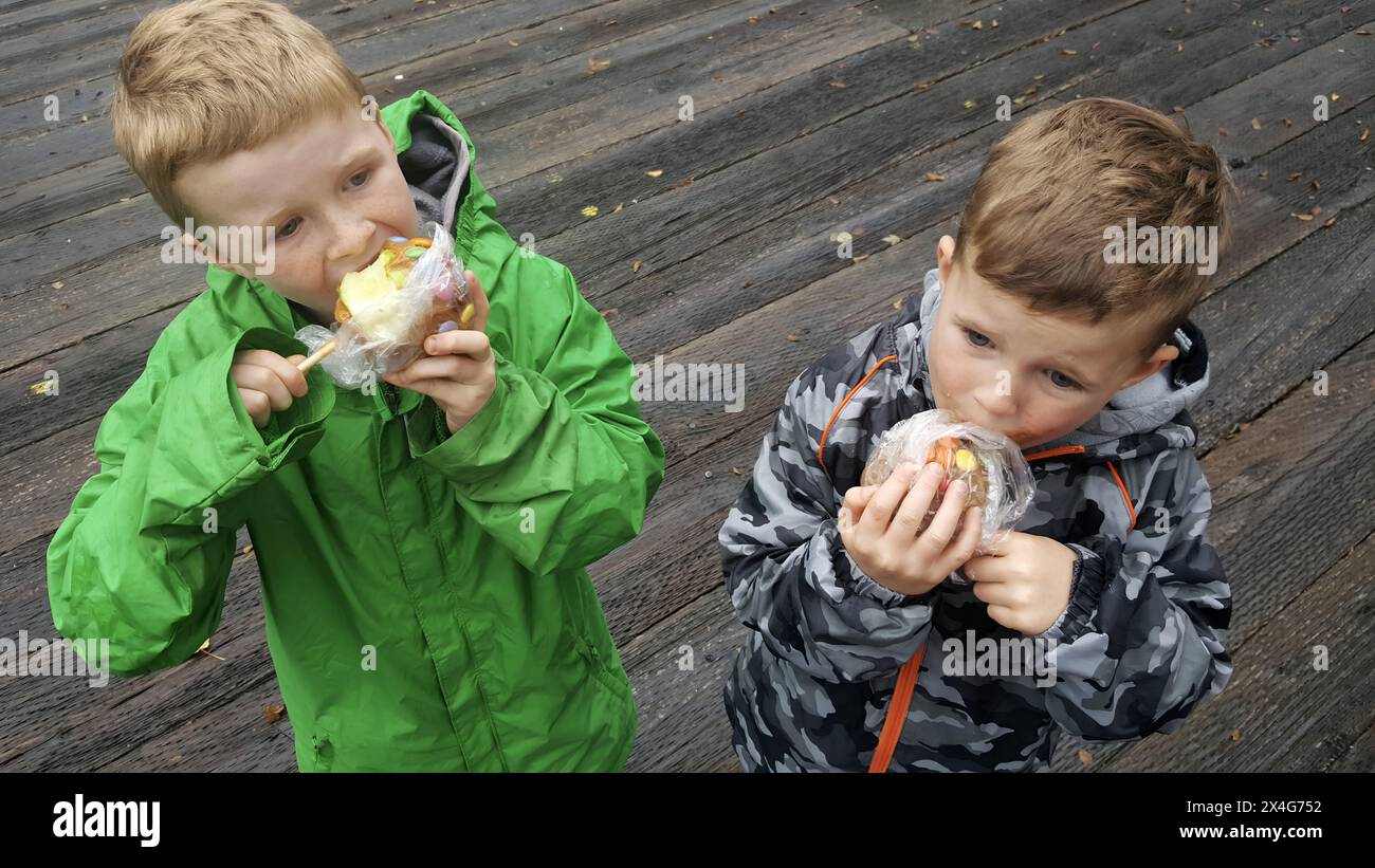 Due ragazzi in giacche si divertono con le mele caramelle su un ponte di legno Foto Stock