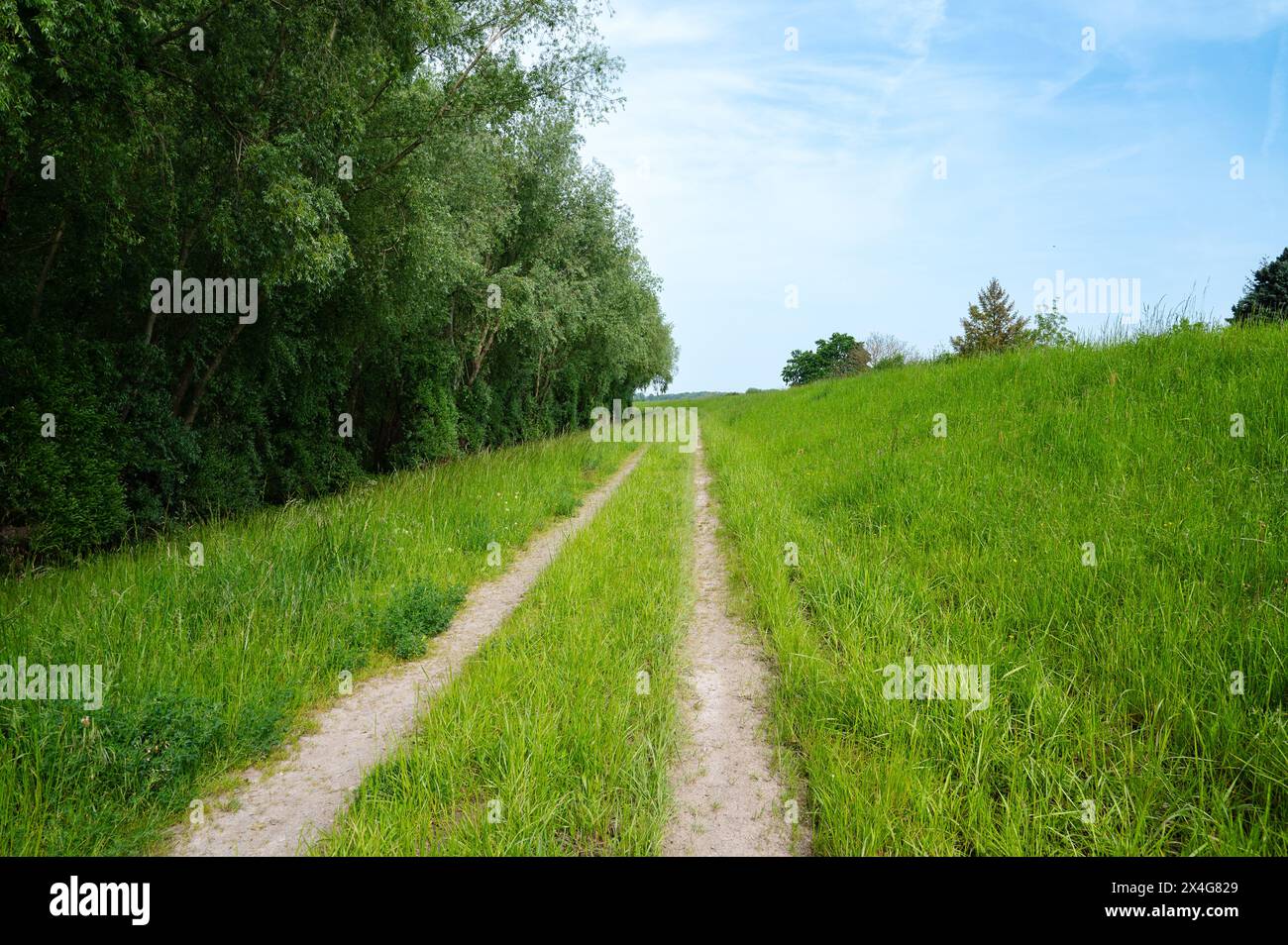 Percorso attraverso prati e boschi, natura in primavera, ambiente ed ecologia, area ricreativa in Germania Foto Stock