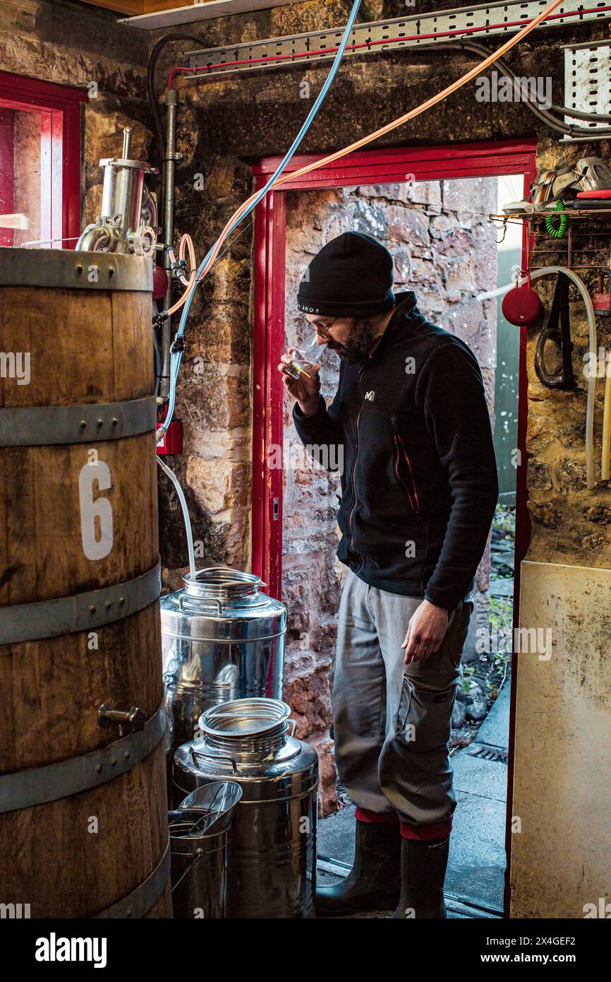 Il maestro distillatore della distilleria Dornoch sta preparando e assaggiando il gin in una micro distilleria in Scozia . Foto Stock