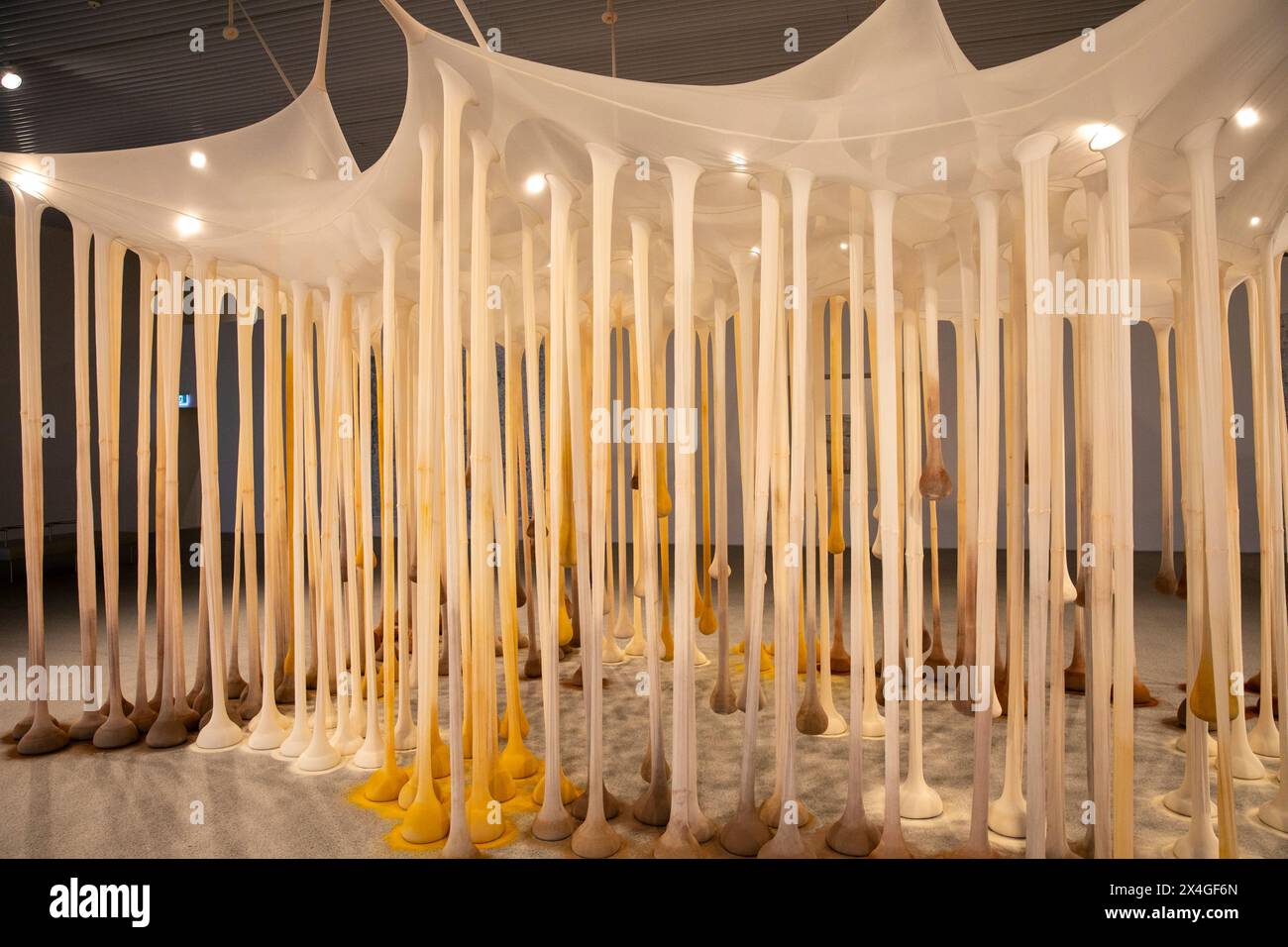Ernesto Neto's, proprio come Drops in Time, Nothing art installation in Art Gallery of New South Wales extension Naala Badu building, Sydney, Australia Foto Stock