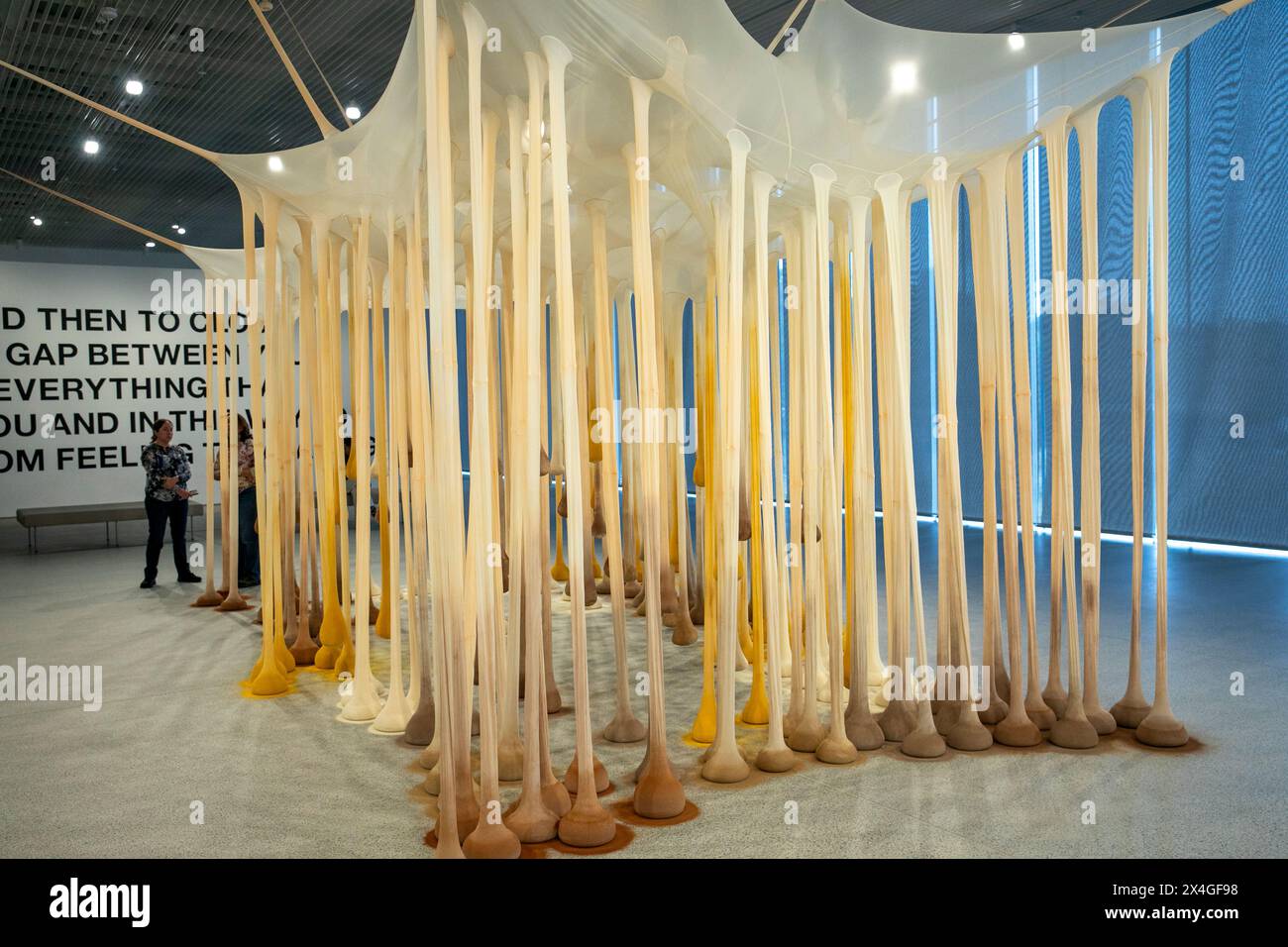 Ernesto Neto's, proprio come Drops in Time, Nothing art installation in Art Gallery of New South Wales extension Naala Badu building, Sydney, Australia Foto Stock