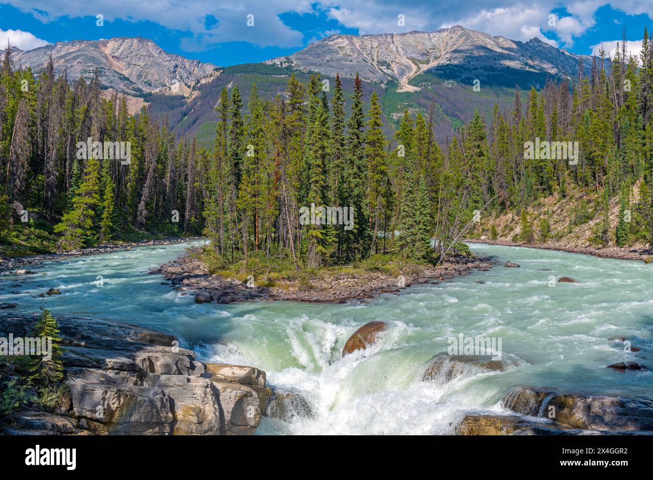 Sunwapta Falls e Sunwapta River in estate, Jasper National Park, Canada. Foto Stock