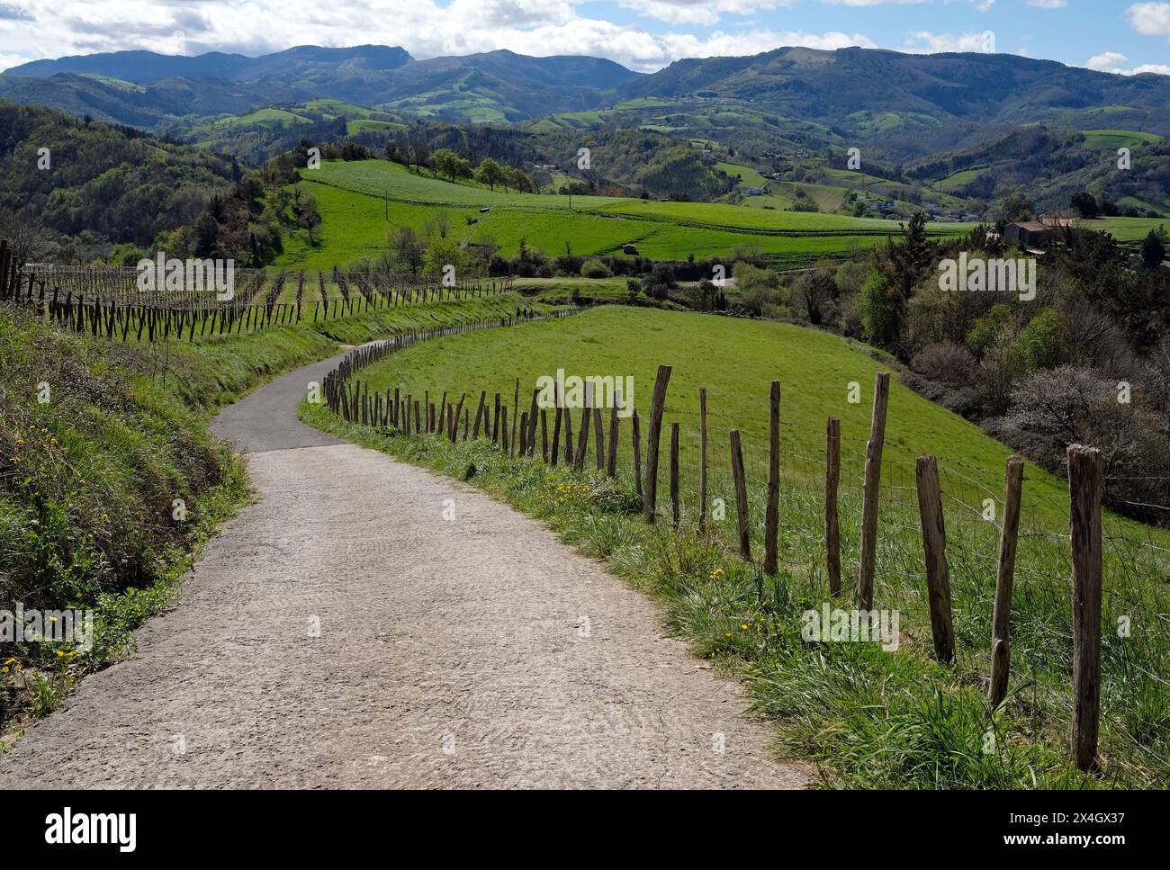 Sentiero vuoto sul Camino del Norte nel nord della Spagna Foto Stock