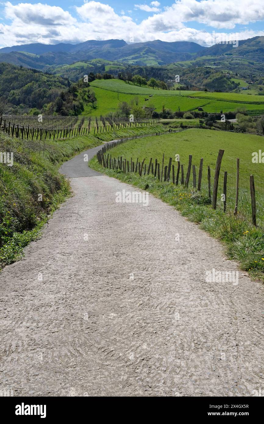 Sentiero vuoto sul Camino del Norte nel nord della Spagna Foto Stock