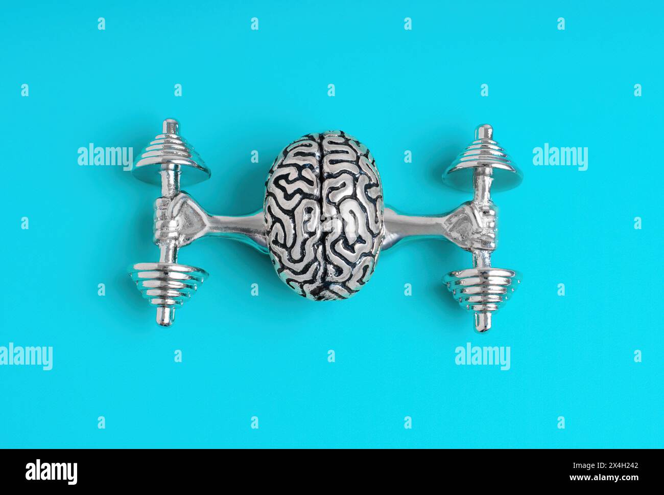 Statuetta del cervello umano in metallo che solleva manubri pesanti con braccia forti, vista dall'alto. Concetto correlato all'esercizio mentale. Foto Stock