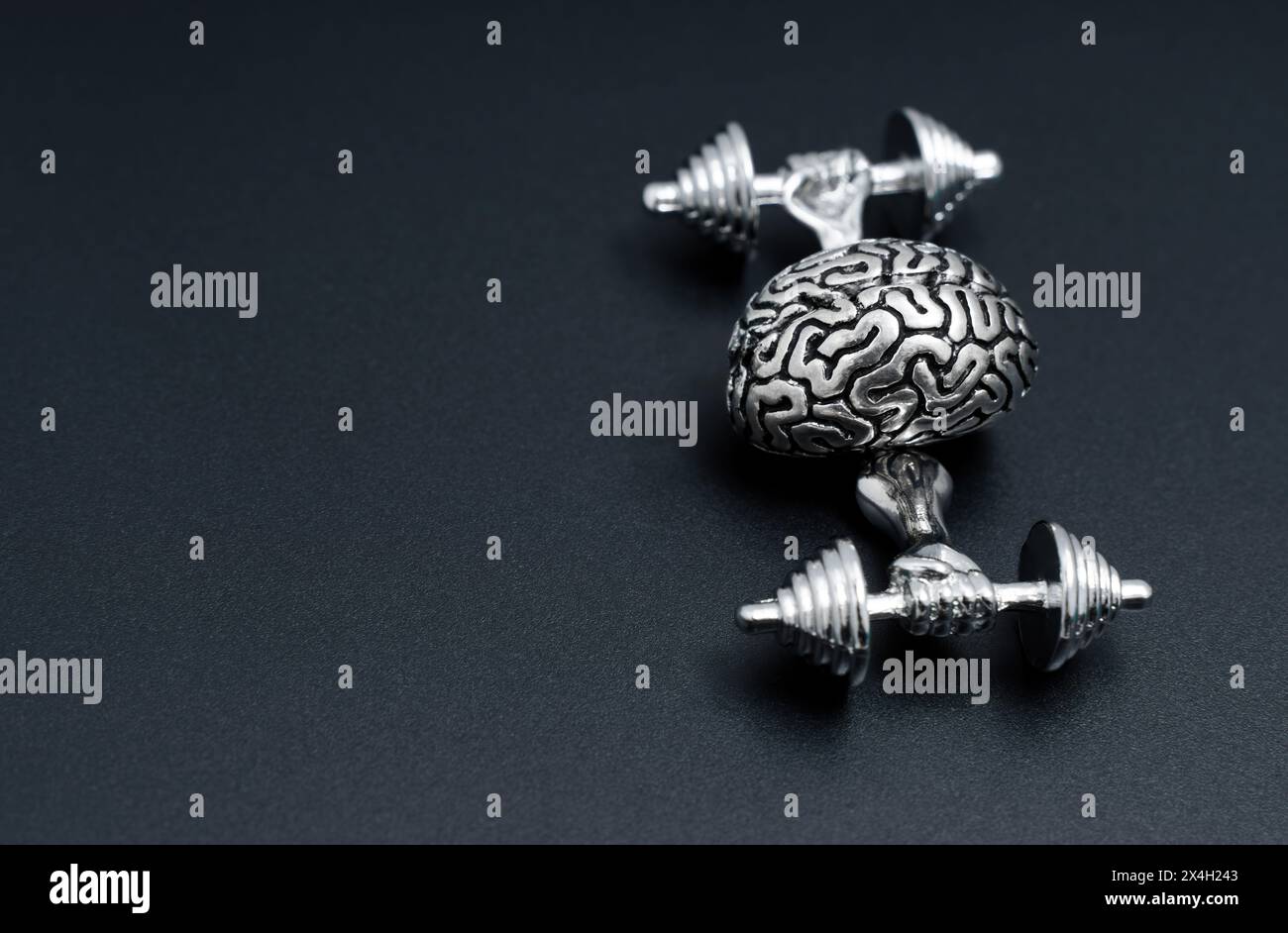 Concetto creativo di allenamento cerebrale. Copia d'acciaio di un allenamento al cervello umano con pesi isolati sul nero. Foto Stock