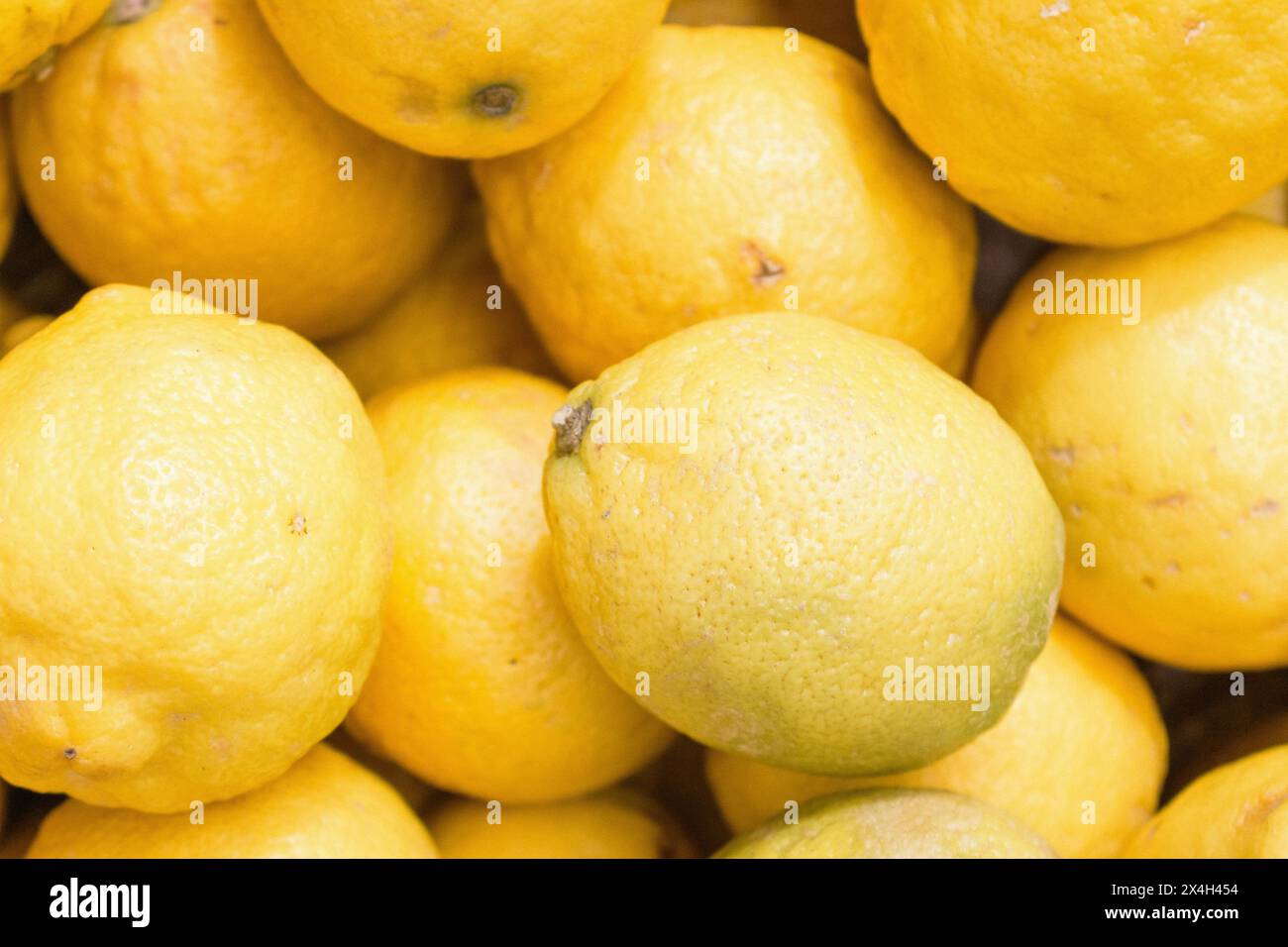 Limoni sul mercato. Succosa limoni di sottofondo. Frutti gialli. Un mucchio di limoni maturi. Sfondo di colore giallo. Raccolta degli agrumi. Mangiare sano. Foto Stock