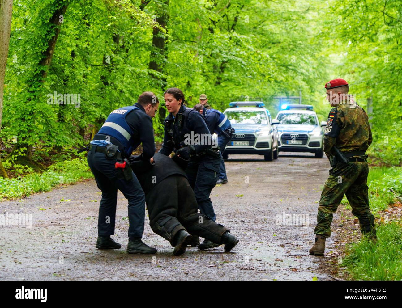 3 maggio 2024, Renania-Palatinato, Kirchheimbolanden: Durante l'esercitazione, due intrusi illegali nel deposito delle munizioni vengono consegnati alla polizia dai soldati della Bundeswehr e portati via. Il comando di Stato della Renania-Palatinato e le società di sicurezza interna della Renania-Palatinato e della Renania-Palatinato e di Hunsrück svolgono un’esercitazione sul sito dell’ex deposito di munizioni vicino a Kriegsfeld (distretto di Donnersberg), che sarà riattivato entro il 2028. Durante l'esercitazione della Bundeswehr National Guardian, parte della serie di esercitazioni della Bundeswehr QUADRIGA, le forze di sicurezza nazionale in tutta la Germania praticano il loro co Foto Stock