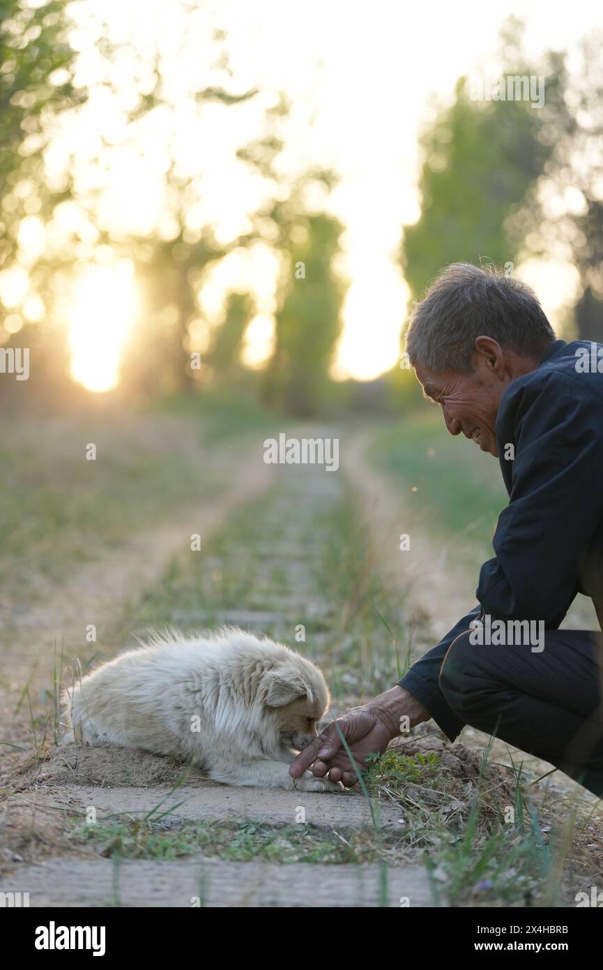 (240503) -- FUXIN, 3 maggio 2024 (Xinhua) -- Hou Gui gioca con il suo cane dopo una giornata di lavoro nei boschi nella contea di Zhangwu nella città di Fuxin, nella provincia di Liaoning della Cina nord-orientale, 1 maggio 2024. Hou Gui, di oltre 70 anni, è un abitante del villaggio di Liujia nella città di Sihecheng nella contea di Zhangwu, nella provincia di Liaoning della Cina nord-orientale. Abitando al margine meridionale della terra sabbiosa di Horqin, Hou ha piantato più di 200.000 alberi su 2.400 mu (160 ettari) di terra sabbiosa negli ultimi 20 anni. Hou iniziò a imboschire nel 2001. Raccolse fondi, coltivò alberelli adatti alla coltivazione in terreni sabbiosi, dissuase villa Foto Stock