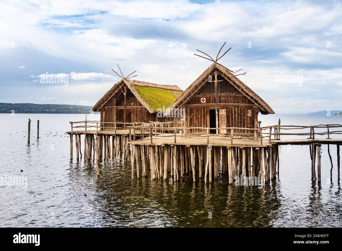 Pile Dwellings Open Air Museum sul lago di Costanza, Uhldingen-Mühlhofen, Germania Foto Stock
