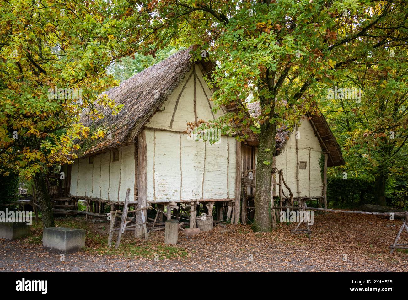 Pile Dwellings Open Air Museum sul lago di Costanza, Uhldingen-Mühlhofen, Germania Foto Stock