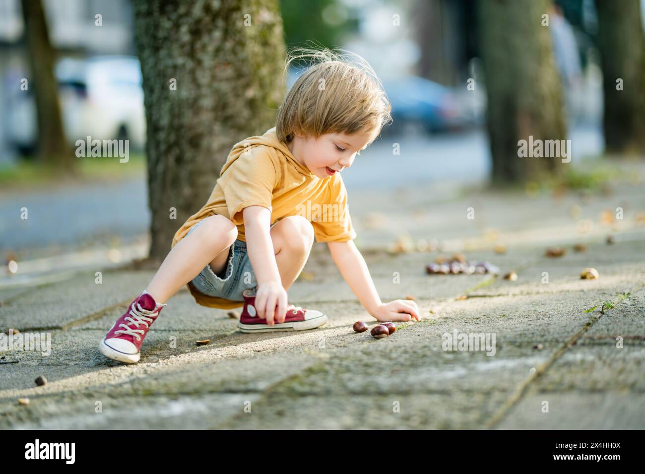 Un bambino che raccoglie le castagne in un parco il giorno d'autunno. Il bambino si diverte con la ricerca di castagne e fogliame. Attività autunnali con bambini. Foto Stock