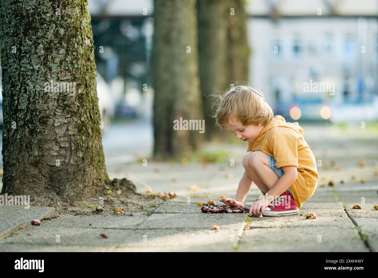 Un bambino che raccoglie le castagne in un parco il giorno d'autunno. Il bambino si diverte con la ricerca di castagne e fogliame. Attività autunnali con bambini. Foto Stock