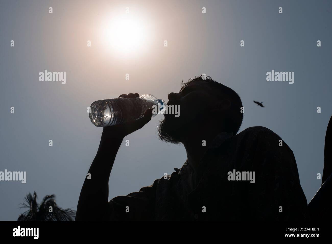onda di calore estrema 2024 Foto Stock