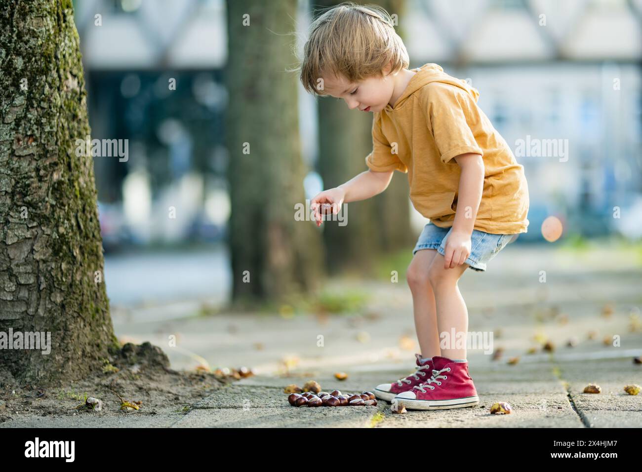 Un bambino che raccoglie le castagne in un parco il giorno d'autunno. Il bambino si diverte con la ricerca di castagne e fogliame. Attività autunnali con bambini. Foto Stock