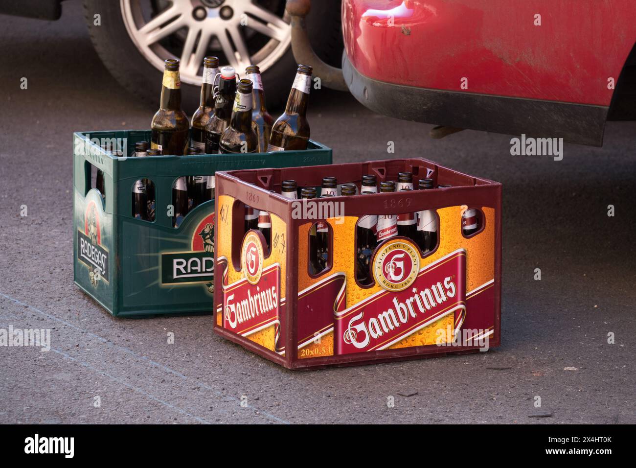 Bottiglie di birra ceca in casse Gambrinus Foto Stock