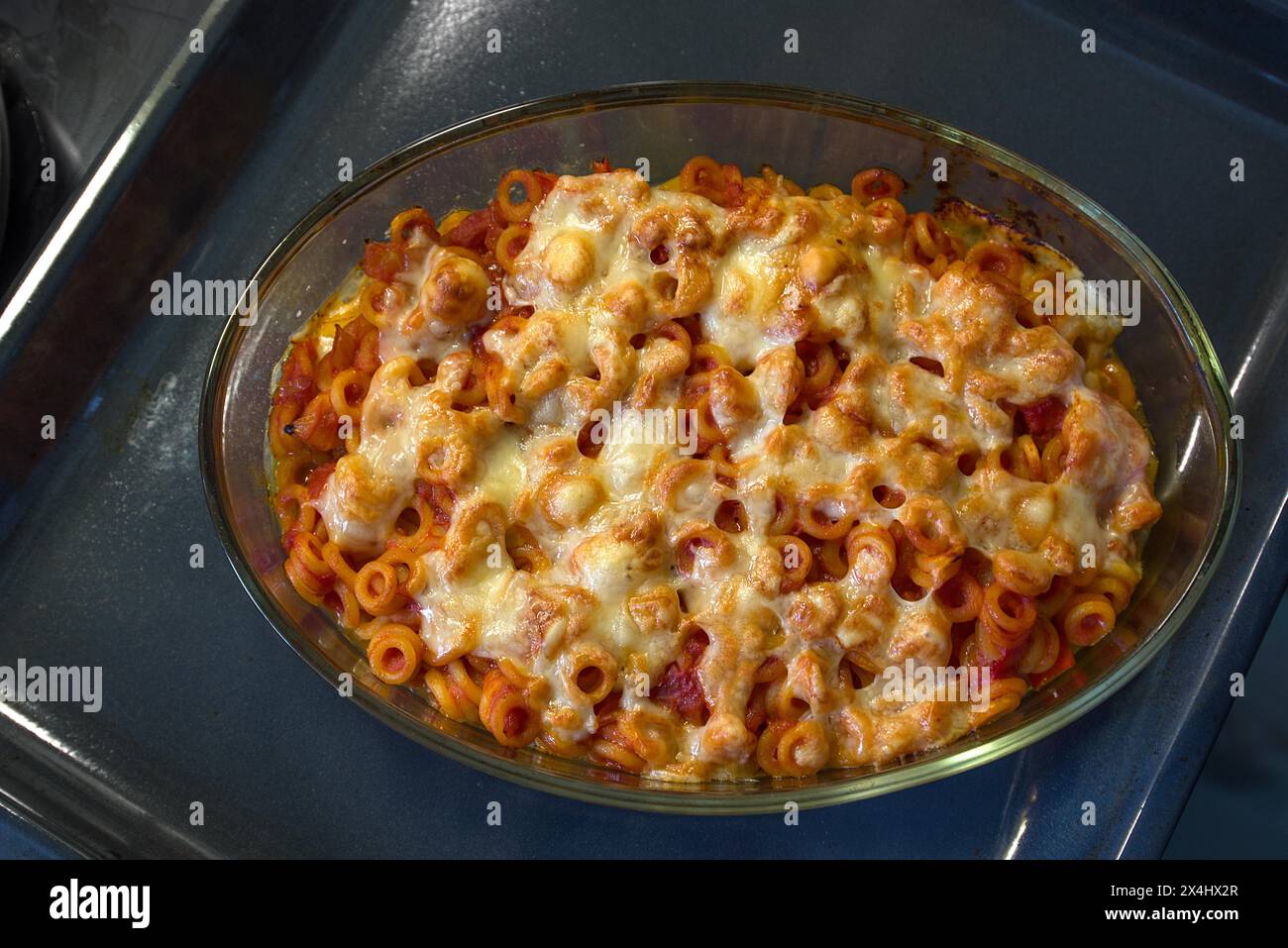 Pasta con salsa di pomodoro cotta al forno con formaggio, Baviera, Germania Foto Stock