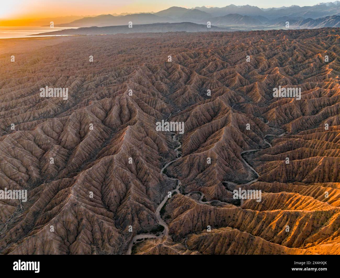 Atmosfera serale, cime delle montagne Tien Shan Mountains, suggestivo paesaggio arido di colline erose, Badlands, Canyon dei Forgotten Rivers Foto Stock