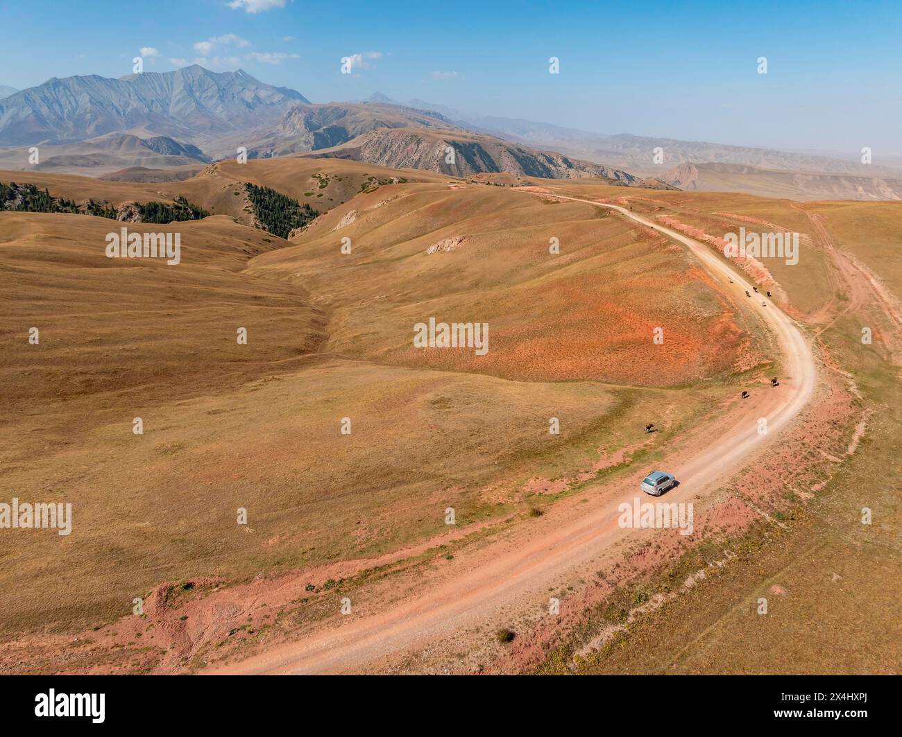 Passo Moldo-Ashuu, auto su strada tra colline gialle, vicino a Baetov, regione di Naryn, Kirghizistan Foto Stock