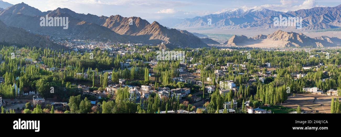 Panorama su Leh e la valle dell'Indo fino all'Himalaya indiana, Ladakh, Jammu e Kashmir, India Foto Stock