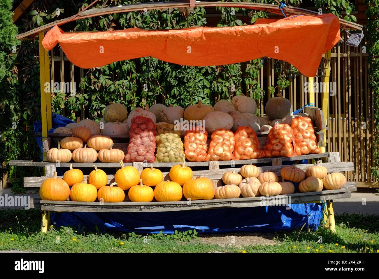 Stand lungo la strada con una varietà di verdure fresche nella Serbia settentrionale Foto Stock