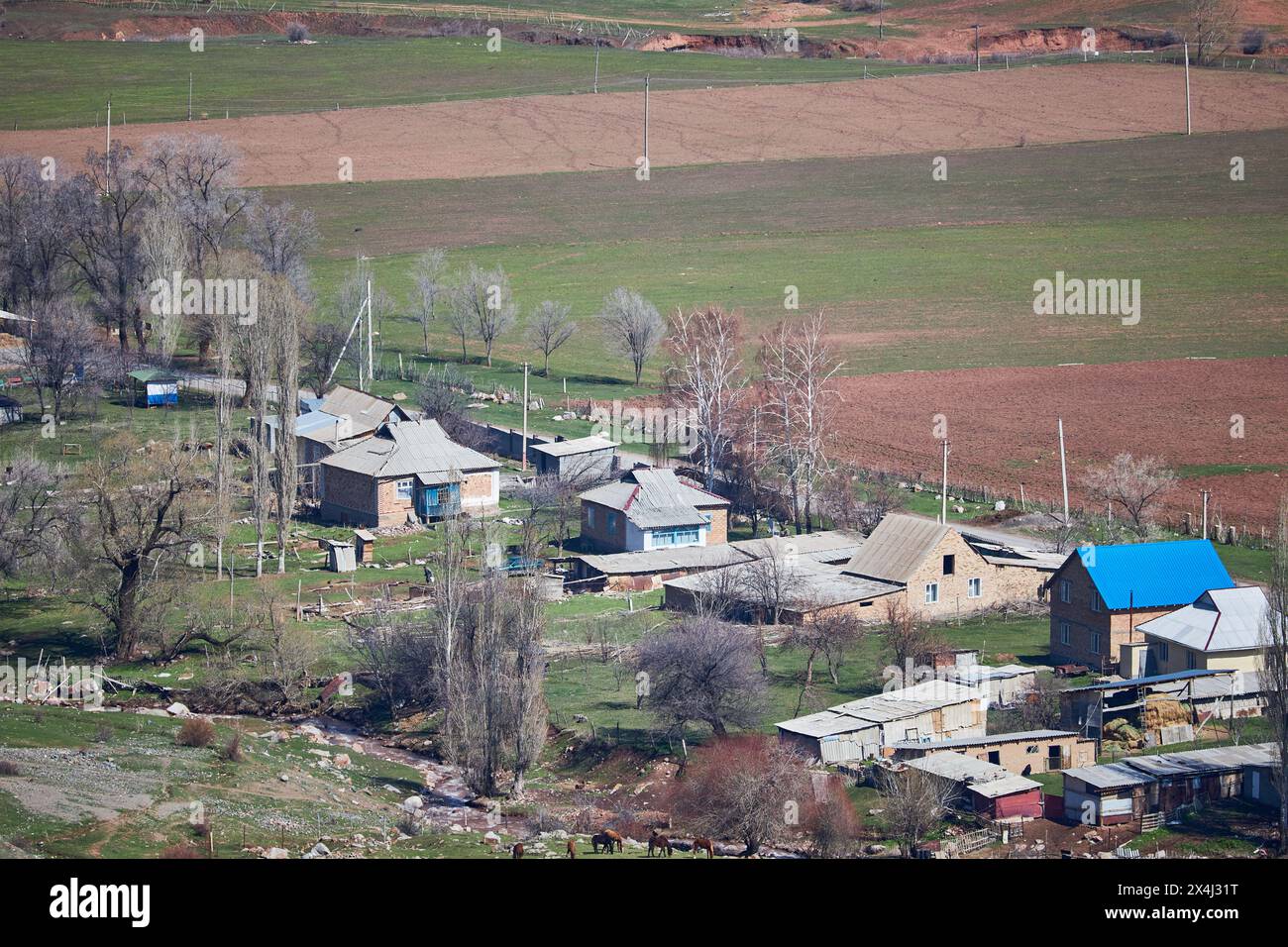 Piccolo villaggio nel paesaggio rurale. Case pittoresche con vari colori del tetto sono sparse tra macchie di verde, alberi in erba che segnalano l'arrivo della primavera. Campi circostanti, pronti per la coltivazione Foto Stock