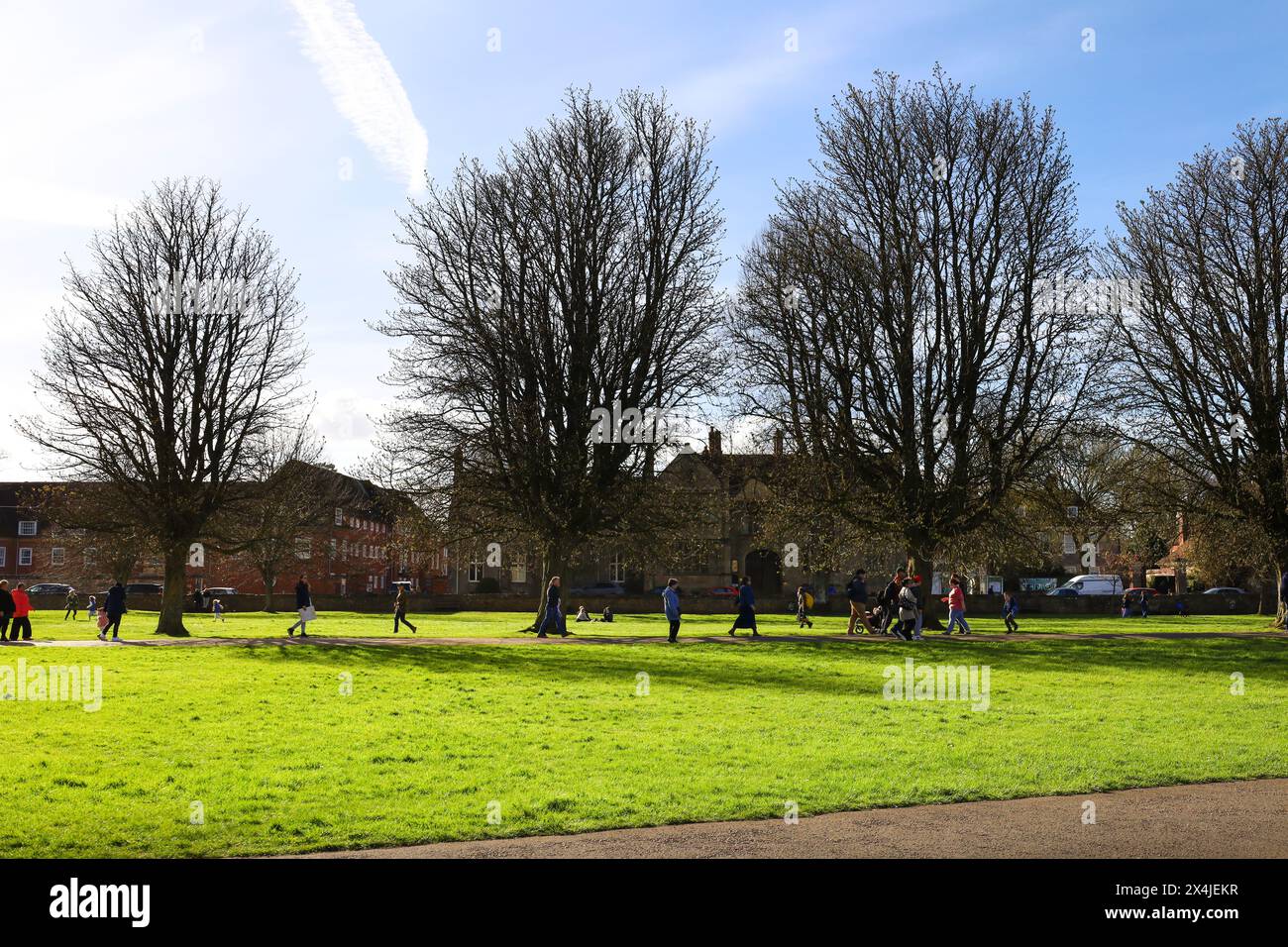 Salisbury, Inghilterra - 29 marzo 2024: Splendido giardino accanto alla cattedrale di Salisbury in una giornata di sole Foto Stock
