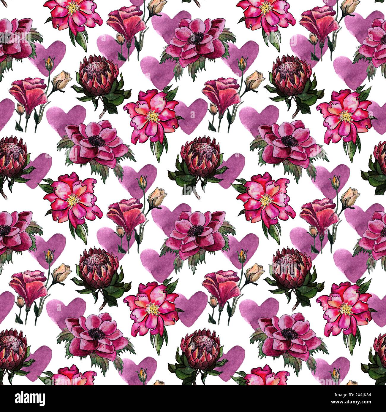 Motivo floreale senza cuciture con fiori rosa fioriti protea e rosa selvatica. esotico tropicale. il design di san valentino con il cuore Foto Stock