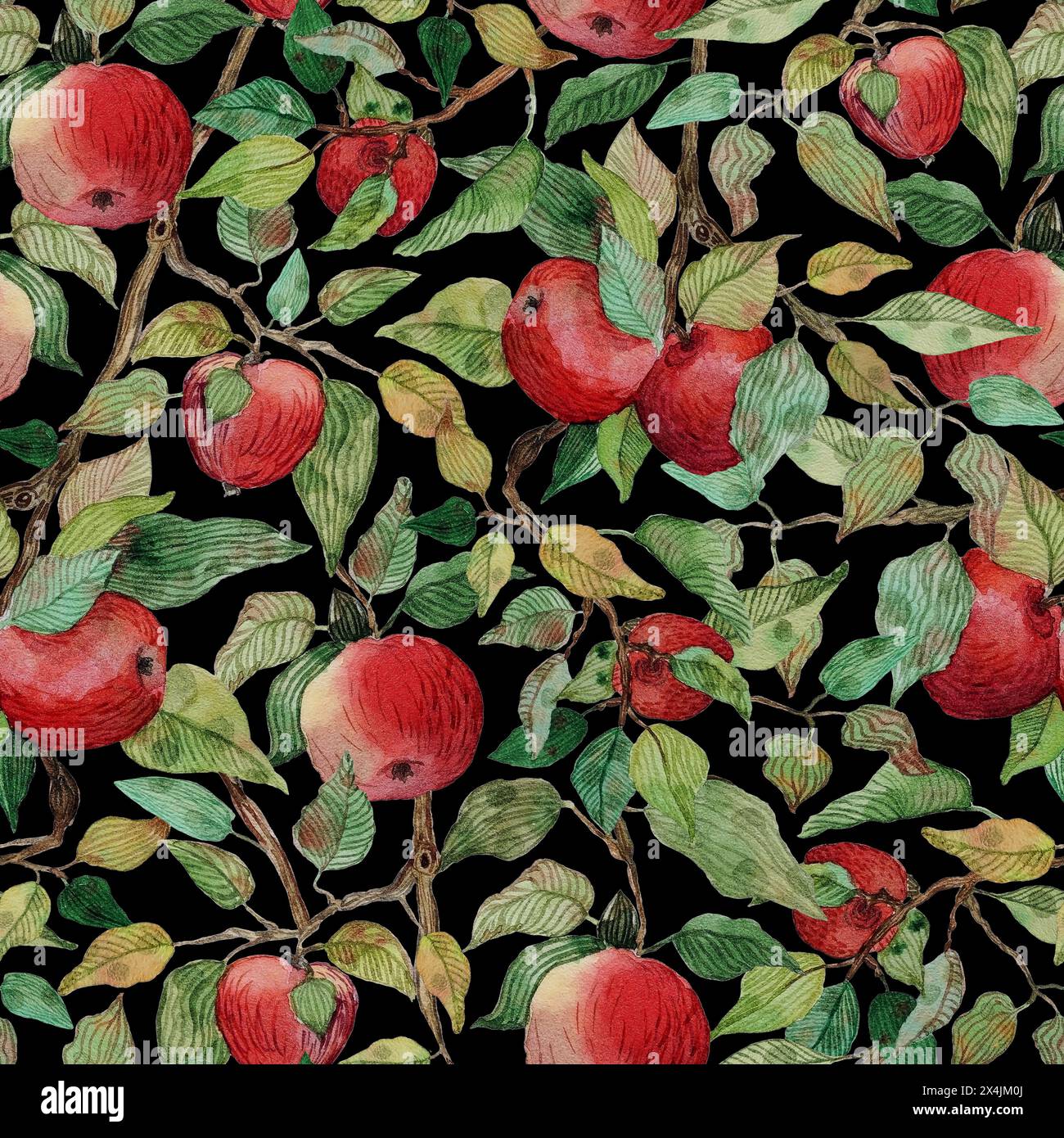 Ramo di melo senza cuciture con mele rosse illustrazione stilizzata con acquerello Foto Stock