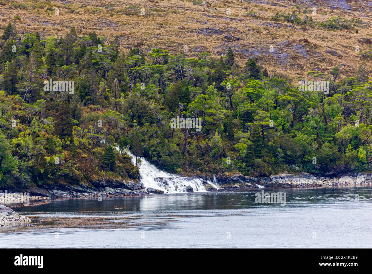 Ruscello nel passaggio interno, fiordi cileni, Cile, Sud America Foto Stock