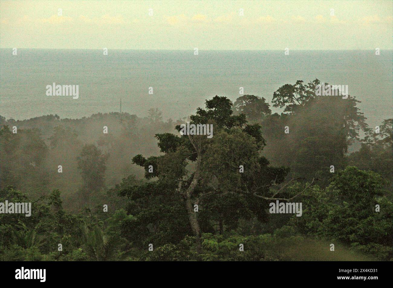 La foresta di pianura sullo sfondo del mare è fotografata da un'area vegetata vicino al Monte Tangkoko e al Monte Duasudara (Dua Saudara) a Bitung, Sulawesi settentrionale, Indonesia. Collegato alla riserva naturale di Tangkoko, questo paesaggio protegge la biodiversità, ma il cambiamento climatico è minaccioso a un ritmo allarmante. La foresta di Tangkoko soffre attualmente di un aumento della temperatura fino a 0,2 gradi Celsius all'anno, come riportato da un team di primatologi guidati da Marine Joly, con anche l'abbondanza complessiva di frutta è diminuita. L'Unione Internazionale per la conservazione della natura (IUCN) dice che le temperature in aumento... Foto Stock