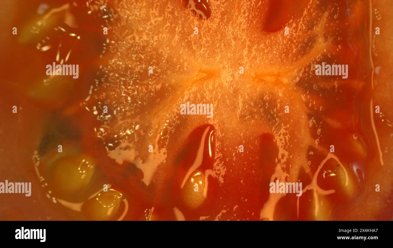 Macrofotografia di pomodori tagliati a fette. La polpa di pomodoro appare succulenta e tenera, con una leggera fermezza. Il pomodoro a fette brilla sotto la luce Foto Stock