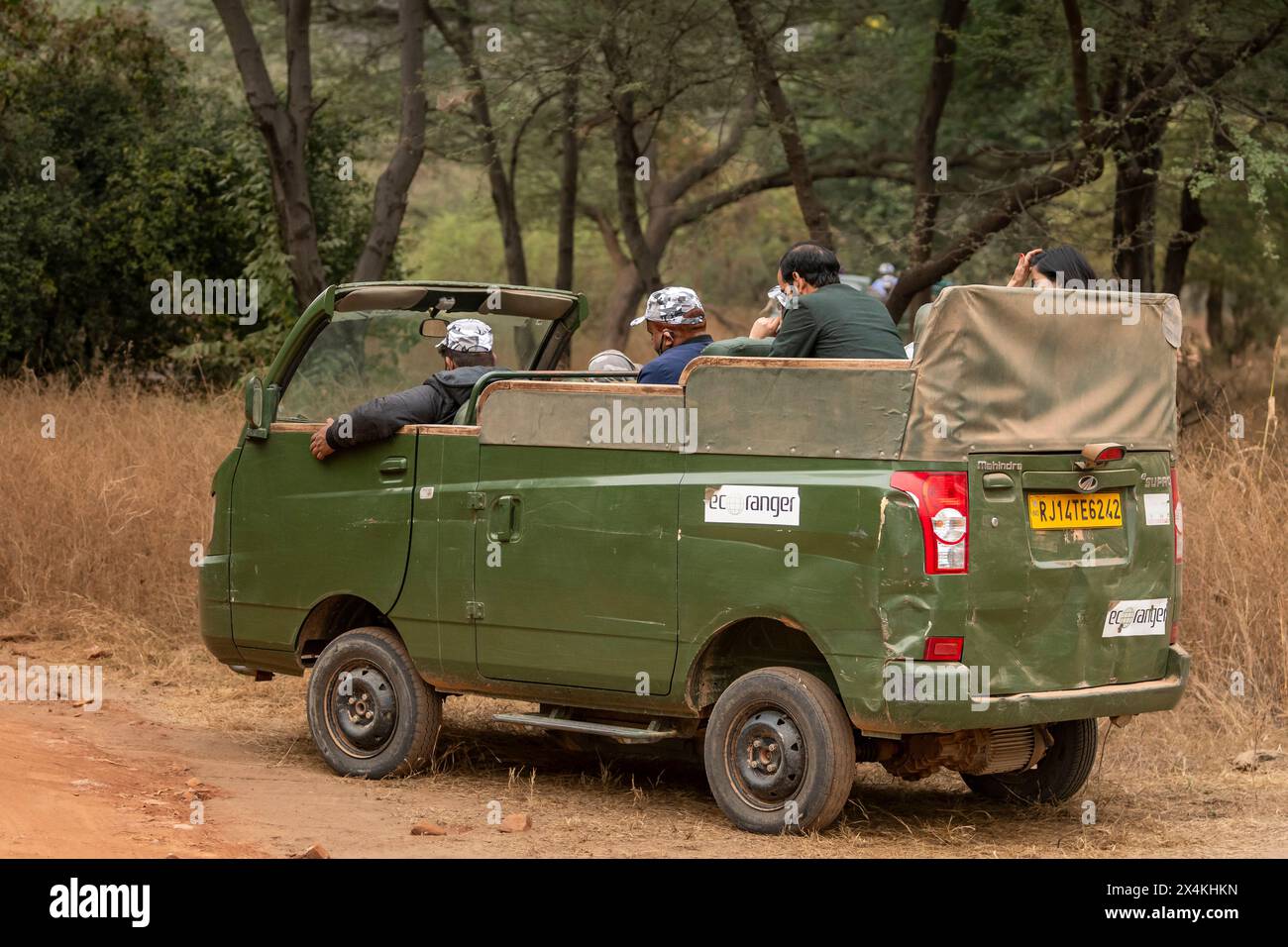 jaipur , rajasthan / india - 1 dicembre 2023 - persone o turisti in safari leopardi selvatici in veicoli elettrici buoni per la riserva jhalana di controllo dell'inquinamento Foto Stock