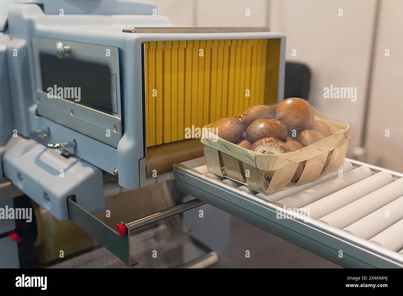 Pacchetto automatico della macchina per l'imballaggio di frutta e verdura. Industria alimentare Foto Stock