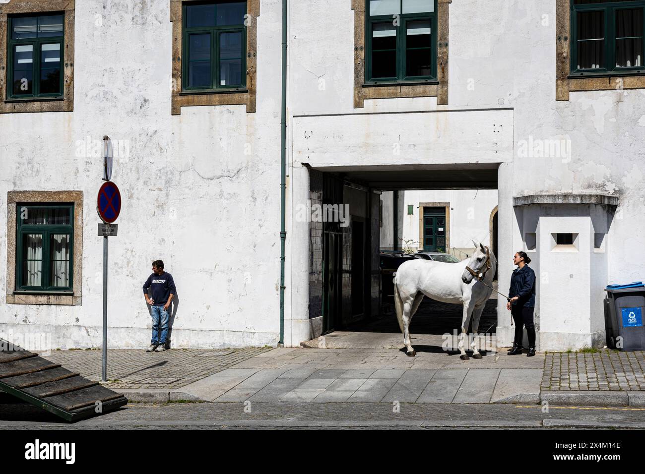 Porto, Portogallo - 5 aprile 2023: Cavallo bianco della polizia Foto Stock