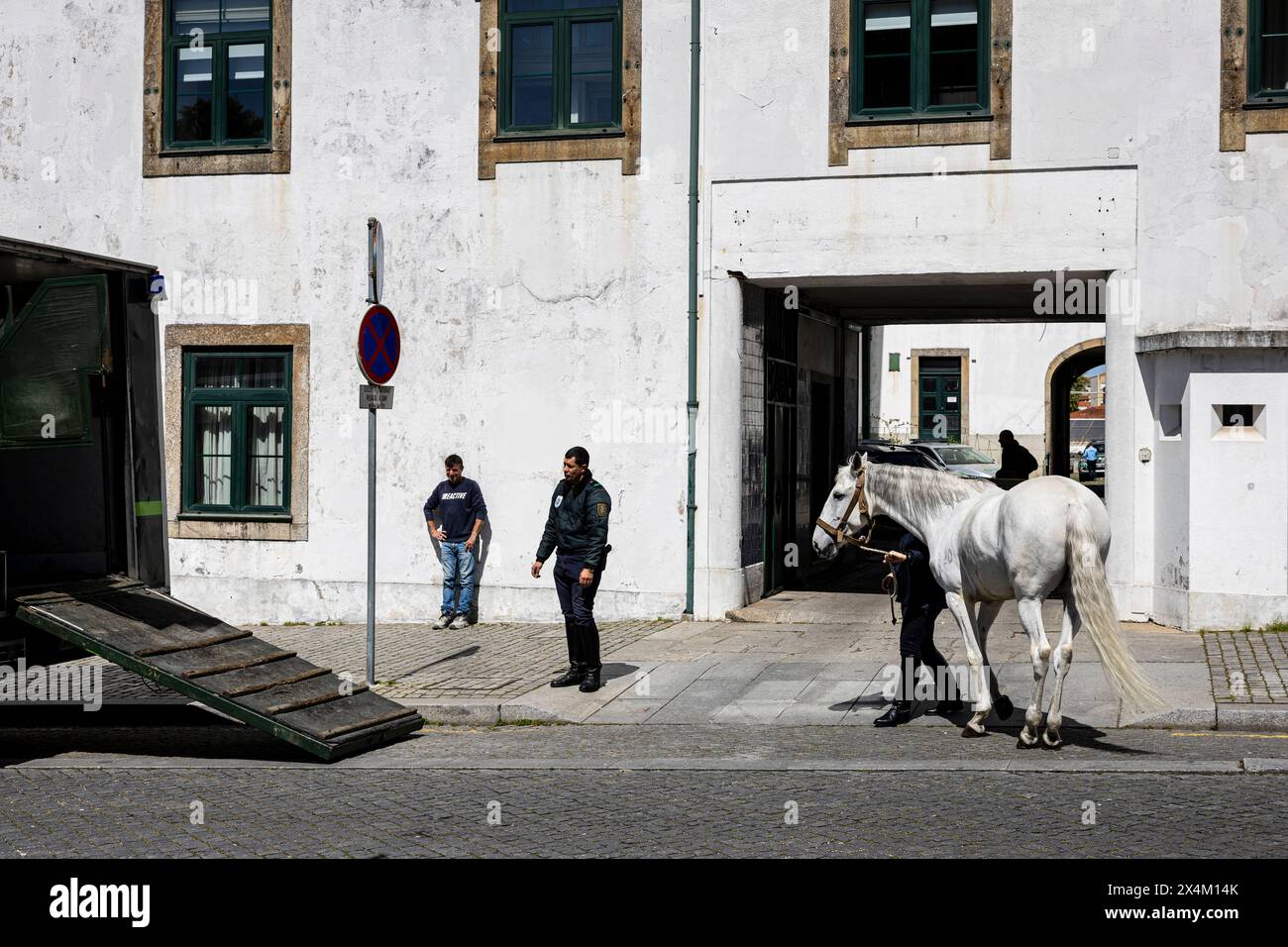 Porto, Portogallo - 5 aprile 2023: Cavallo bianco della polizia Foto Stock