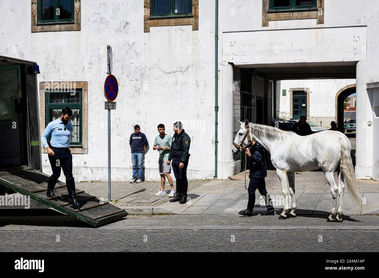Porto, Portogallo - 5 aprile 2023: Cavallo bianco della polizia Foto Stock