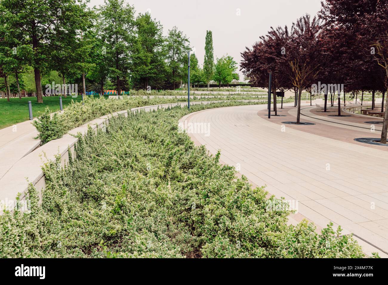 Parco cittadino dal design moderno e piante sempreverdi Foto Stock