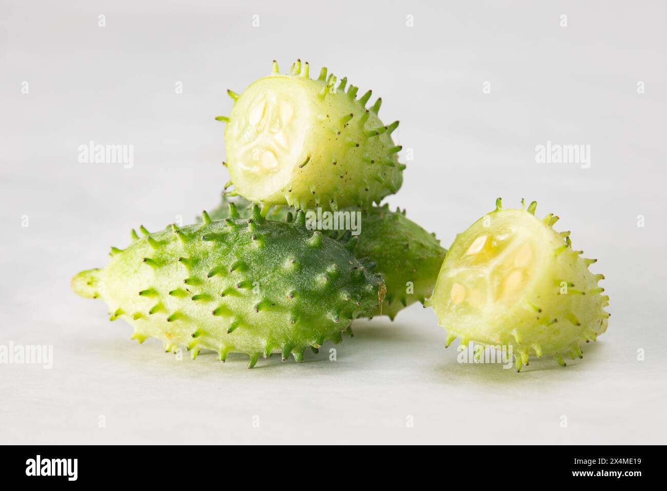 Bur Gourd, dib poj ntxoog, Pahadi Karela. cresce in zona collinare. Alimenti tradizionali Chakma. cetrioli selvatici. Cibo di montagna. Foto Stock