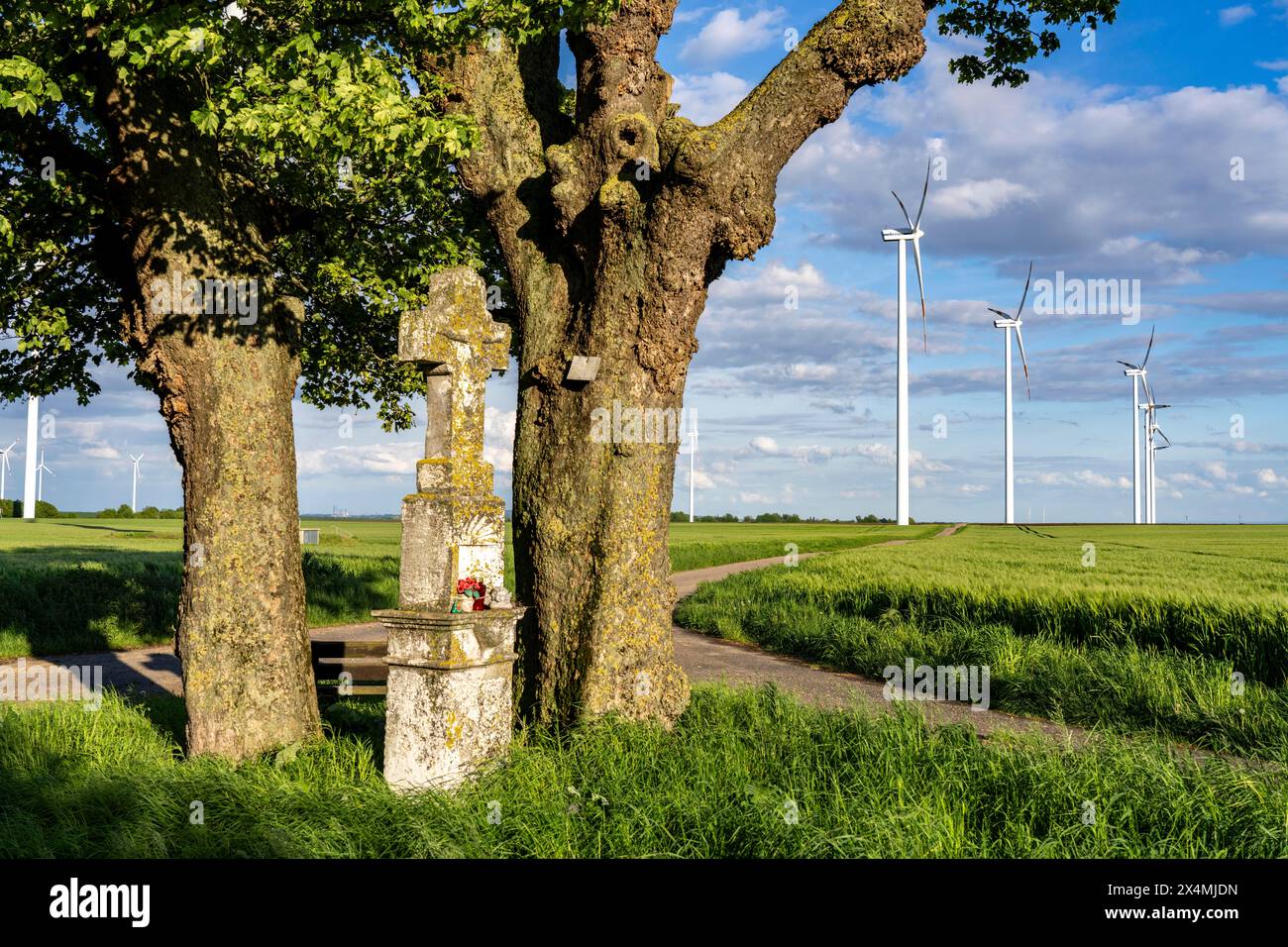 Centrale elettrica a lignite di Neurath, RWE Power AG, parco eolico in parte di proprietà di RWE, Grevenbroich, crocevia vicino a Jackerath, NRW, Germania Foto Stock