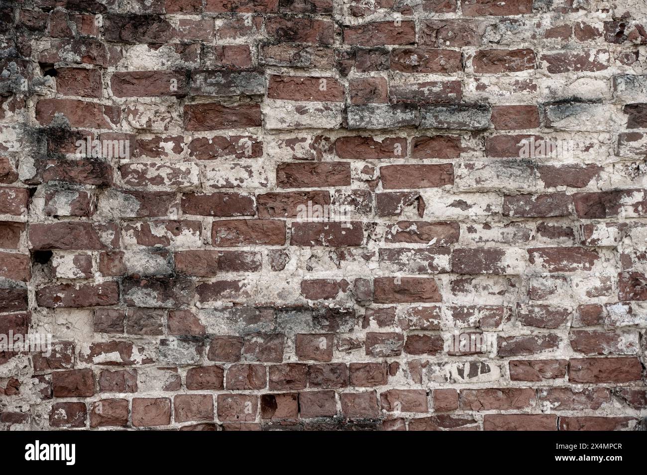 Muro di mattoni. Lo sfondo è realizzato in mattoni rossi con spruzzi bianchi. Foto di alta qualità Foto Stock
