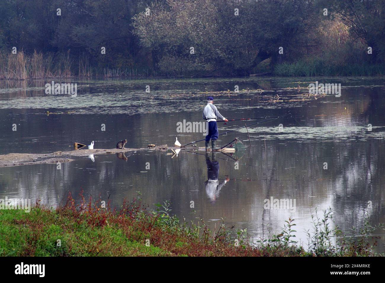 Un uomo sta pescando nell'idilliaco paesaggio del villaggio di Velesevec sul fiume Sava, Croazia Foto Stock