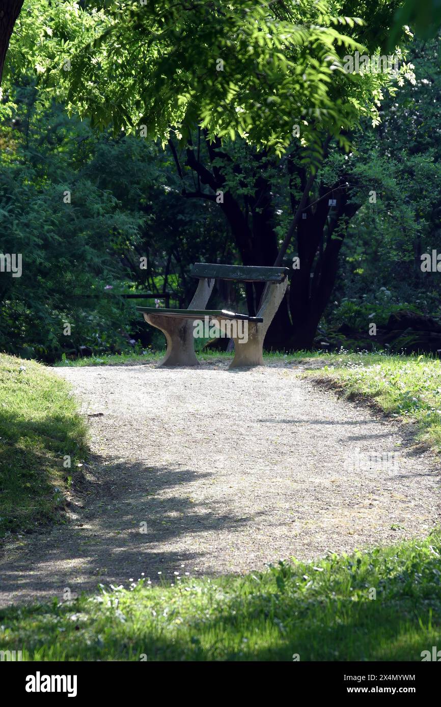 Panchina solitaria del parco in primavera nel giardino botanico di Zagabria, Croazia Foto Stock