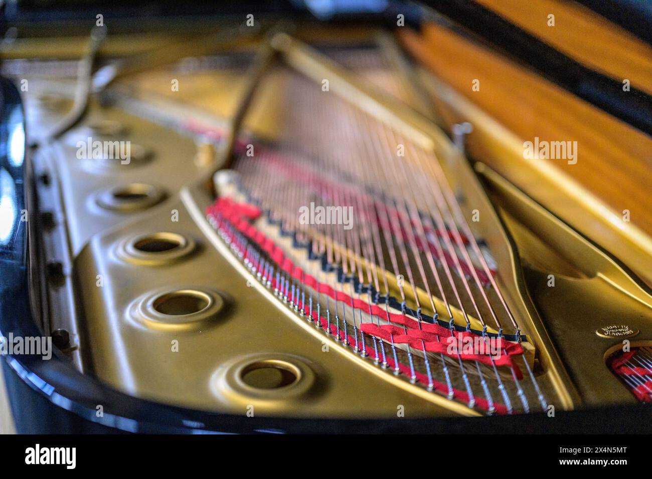 Dettaglio delle corde e della cornice all'interno di un pianoforte a coda Steinway, che mostra la maestria artigianale. Foto Stock
