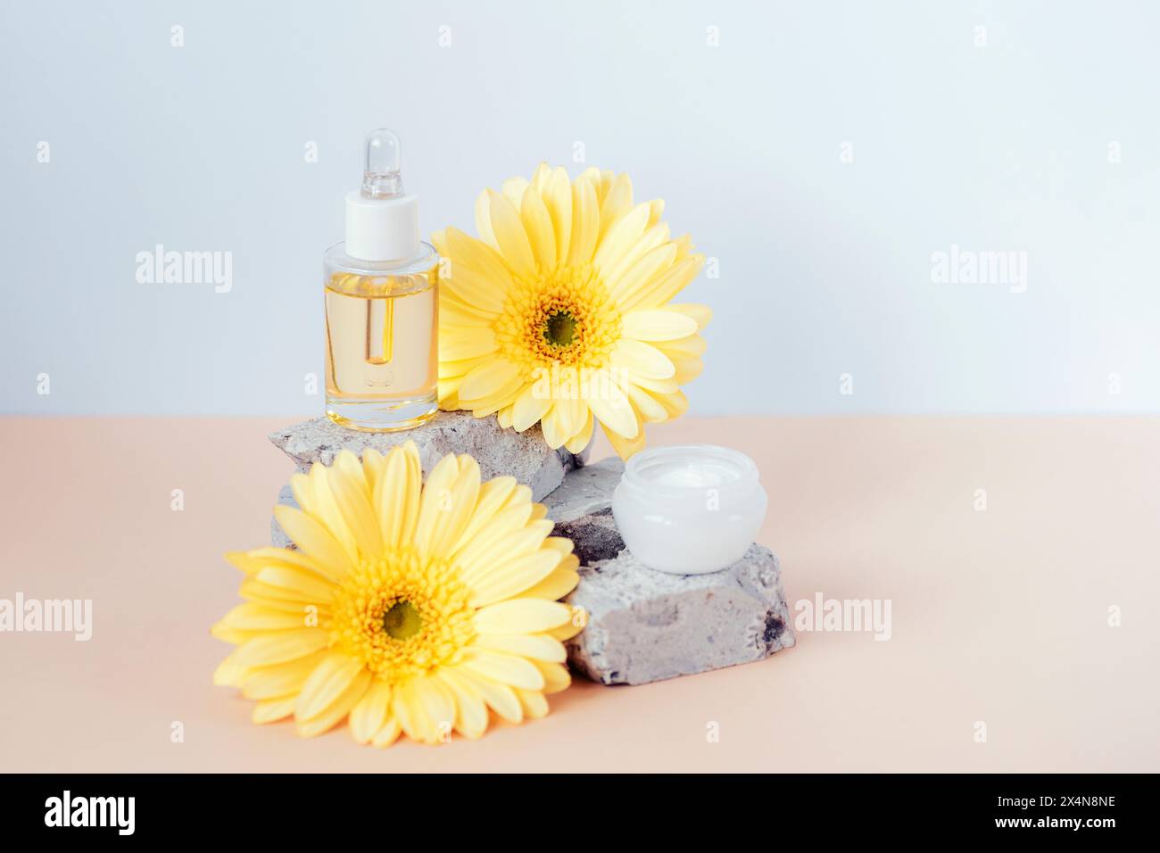 Flacone cosmetico per siero e vaso panna su podio con fiori gialli di gerbera su tavola beige. Messa a fuoco selettiva. Foto Stock
